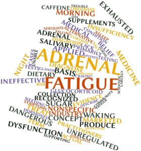 Adrenals | Prolean Wellness