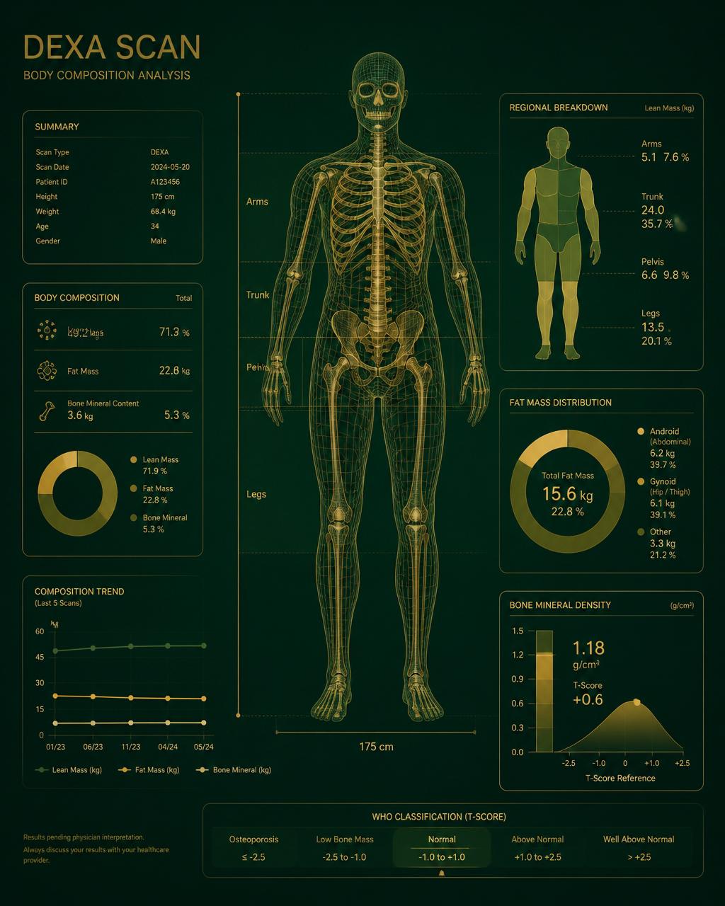 Sample DEXA body composition readout